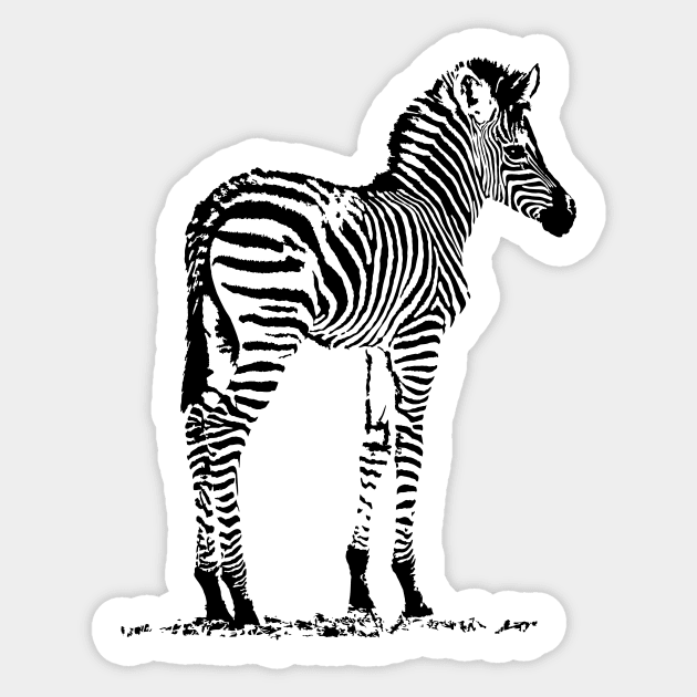 Charming Zebra Foal | African Wildlife Sticker by scotch